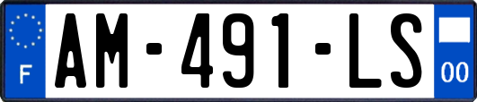 AM-491-LS