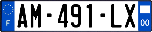 AM-491-LX