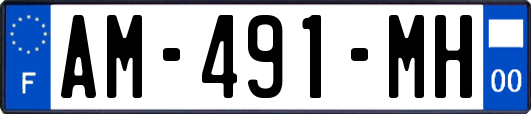 AM-491-MH