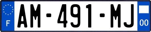 AM-491-MJ