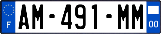 AM-491-MM