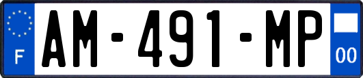 AM-491-MP