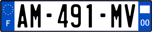 AM-491-MV