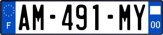 AM-491-MY