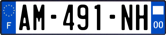 AM-491-NH
