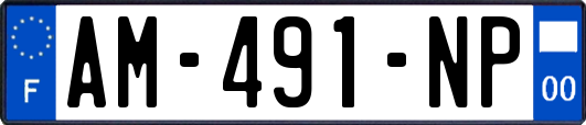 AM-491-NP