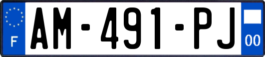 AM-491-PJ