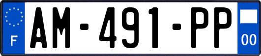 AM-491-PP