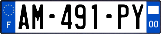 AM-491-PY