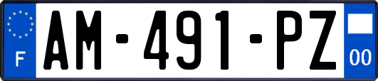 AM-491-PZ