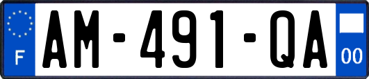 AM-491-QA