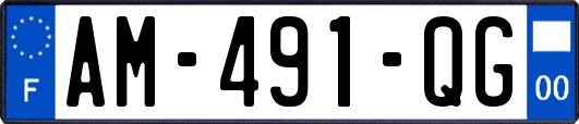 AM-491-QG