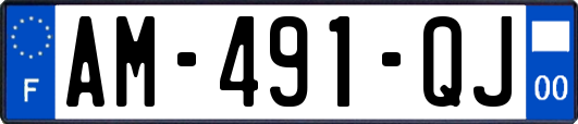AM-491-QJ