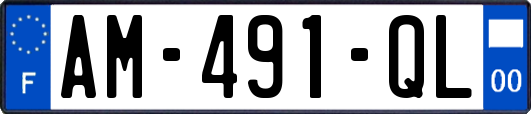 AM-491-QL