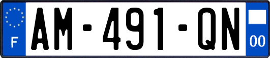 AM-491-QN