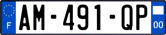 AM-491-QP