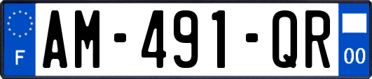 AM-491-QR
