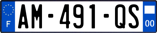 AM-491-QS