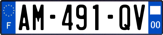 AM-491-QV