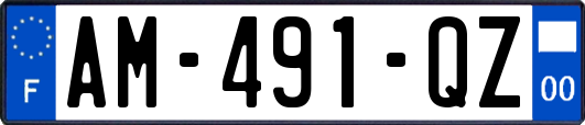 AM-491-QZ