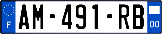 AM-491-RB
