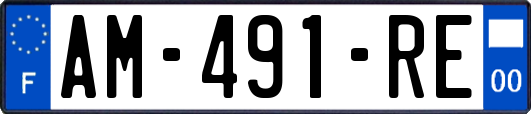 AM-491-RE