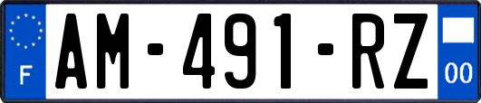AM-491-RZ