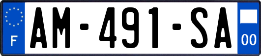 AM-491-SA