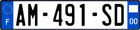 AM-491-SD