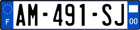 AM-491-SJ