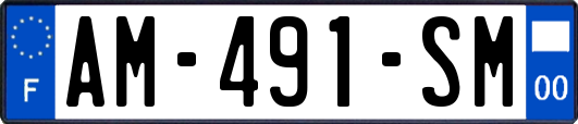 AM-491-SM
