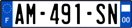 AM-491-SN