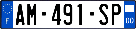 AM-491-SP