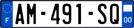 AM-491-SQ