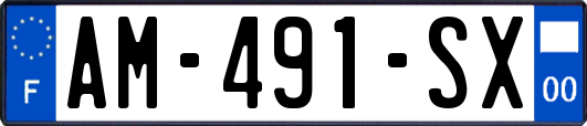 AM-491-SX