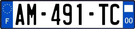 AM-491-TC