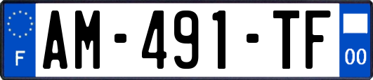 AM-491-TF
