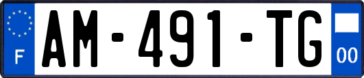 AM-491-TG
