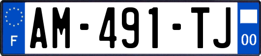AM-491-TJ
