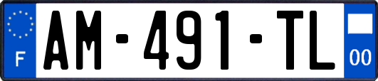 AM-491-TL