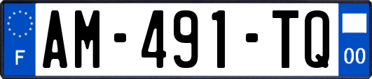 AM-491-TQ