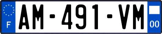 AM-491-VM