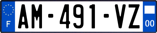 AM-491-VZ