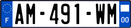 AM-491-WM