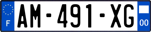 AM-491-XG