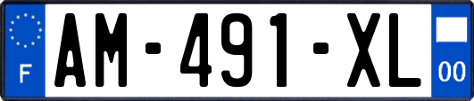 AM-491-XL