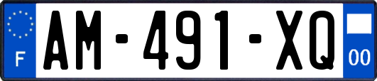 AM-491-XQ