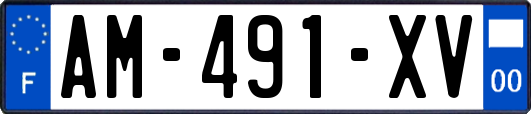 AM-491-XV