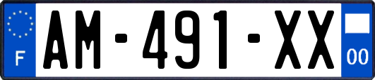 AM-491-XX
