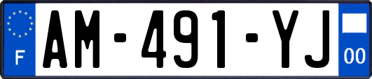 AM-491-YJ